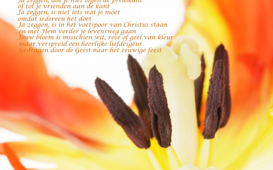 Belijdenisdienst