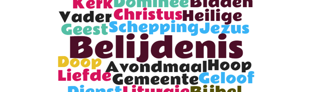 Belijdenisdienst 30 januari